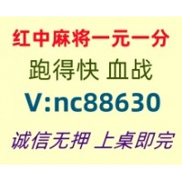 【龙马精神】一元一分红中麻将实时上下分