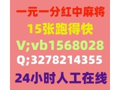 24小时一元一分红中麻将跑得快群