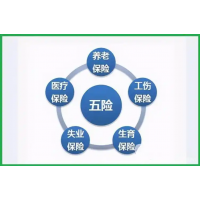 外地公司在中山职工社保代缴，中山五险一金代买，中山社保外包