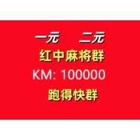 广东红中赖子一元一分麻将群