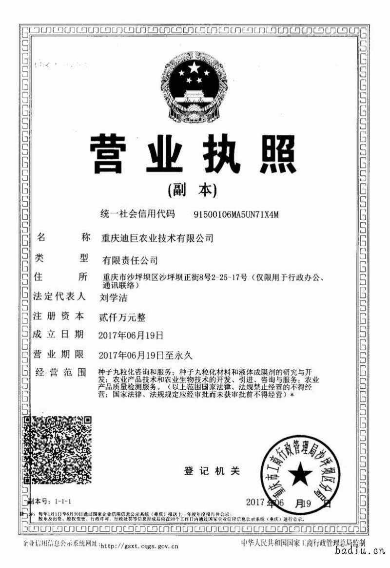 执照