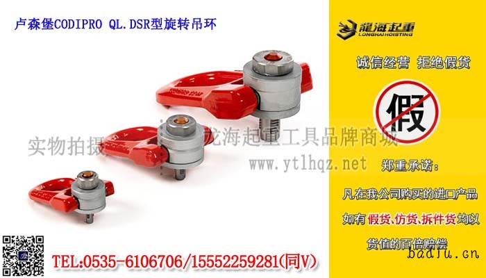 卢森堡CODIPRO QL.DSR型旋转吊环单条大图