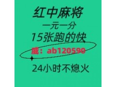 五彩缤纷正规红中24小时一元麻将哔哩/哔哩