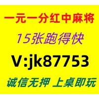 [天南地北]红中麻将一元一分火爆进行中