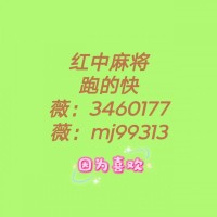 （漫之清寒）麻将一元一分群