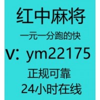 出乎意料一元一分麻将群哪里有哔哩/哔哩 . .