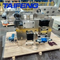 山东泰丰现货供应YN32-315HGCV型 插装阀 厂家专业供应