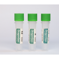 T7 RNA Polymerase